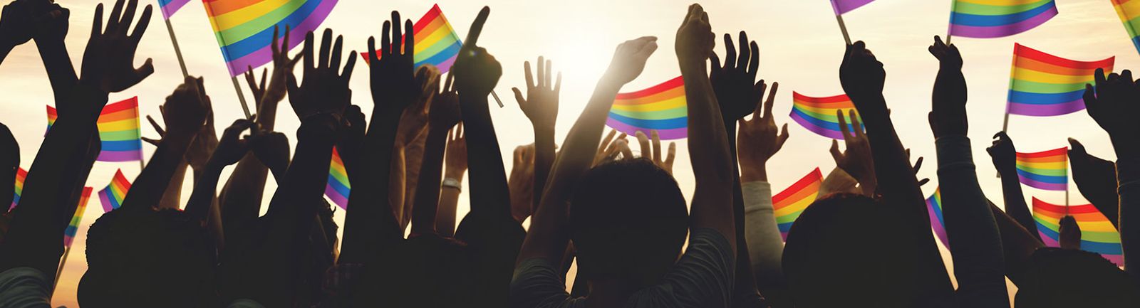 A crowd raising rainbow pride flags at golden hour